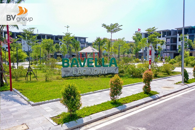 555-logo.jpg