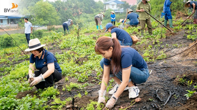 BV RUN 2025: HÀNH TRÌNH XANH CỦA BV GROUP